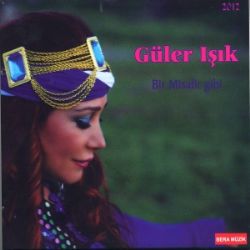 Güler Işık&nbsp;Bir Misafir Gibi