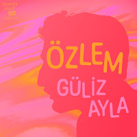 Güliz Ayla&nbsp;Özlem