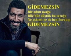 Hakan Altun&nbsp;Gidemezsin