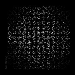 Hakan Kurşun&nbsp;Kuark