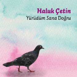 Haluk Çetin&nbsp;Yürüdüm Sana Doğru