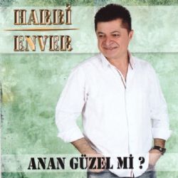 Harbi Enver&nbsp;Anan Güzel Mi