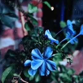 Hirai Zerdüş&nbsp;Benim Öyküm