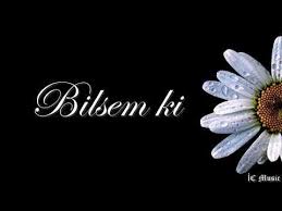 İbrahim Çalışkan&nbsp;Bilsem ki