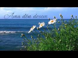 İbrahim Çalışkan&nbsp;Dön Desem