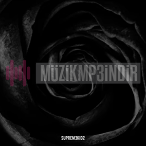 İce&nbsp;Bana Yalan Söylediler