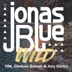 Jonas Blue&nbsp;Wild
