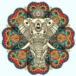 Kaan Demirdere&nbsp;Aşk Var