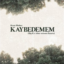 Kaan Malkoç&nbsp;Kaybedemem