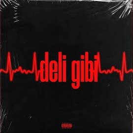 Kaotik S&nbsp;Deli Gibi