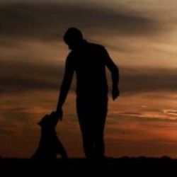 Kara&nbsp;Yalnız Ben