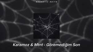 Karamoz&nbsp;Göremediğim Son