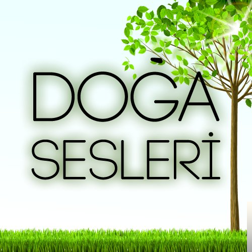 Karışık Sesler&nbsp;Yağmur Sesi