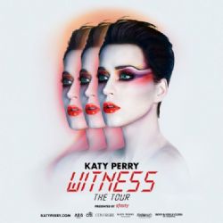 Katy Perry&nbsp;Witness
