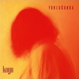 Koyu&nbsp;Yokluğunda