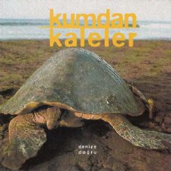 Kumdan Kaleler&nbsp;Denize Doğru