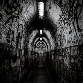 Kuytu Music&nbsp;Dünya