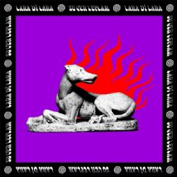 Lara Di Lara&nbsp;Su Ver Leylam