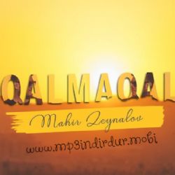Mahir Zeynalov&nbsp;Qalmaqal