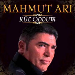 Mahmut Arı&nbsp;Pınar Başından Bulanır