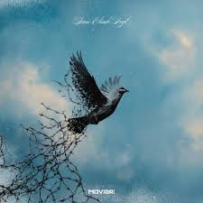 Mavi Gri&nbsp;İnan Elimde Değil