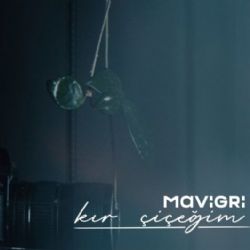 Mavi Gri&nbsp;Kır Çiçeğim