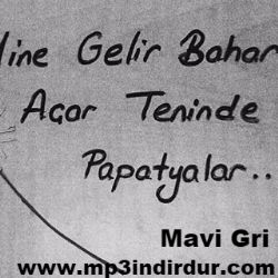 Mavi Gri&nbsp;Papatyalar