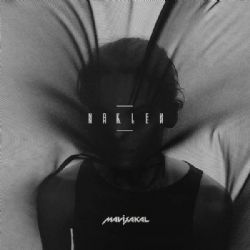 Mavi Sakal&nbsp;Naklen