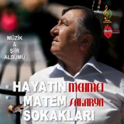 Mehmet Sakarya&nbsp;Hayatın Matem Sokakları