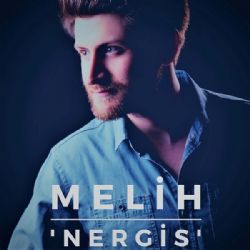 Melih&nbsp;Nergis