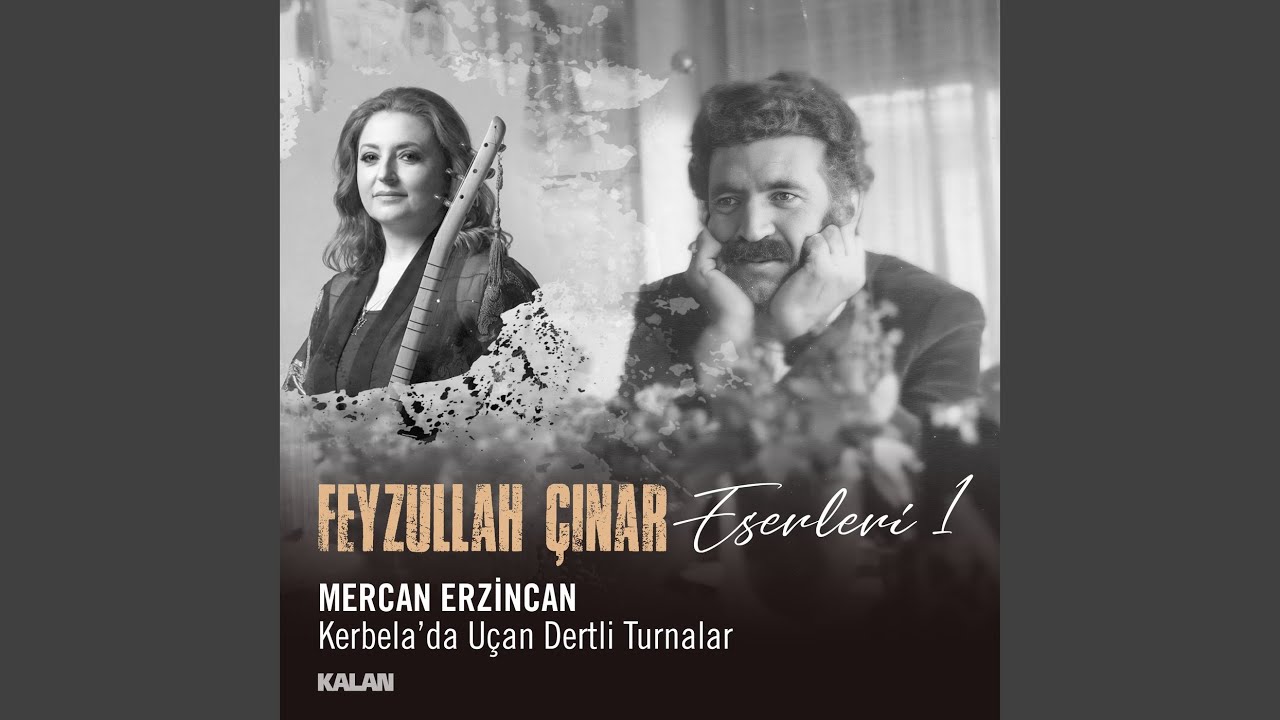 Mercan Erzincan&nbsp;Kerbelada Uçan Dertli Turnalar Feyzullah Çınar Eserleri 1