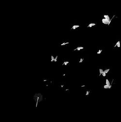 Mertcan Gökkaya&nbsp;Bi Gökyüzü Bi Sen