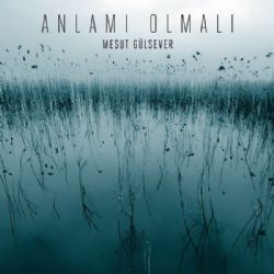 Mesut Gülsever&nbsp;Anlamı Olmalı