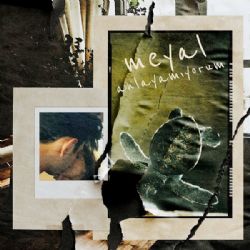 Meyal&nbsp;Anlayamıyorum