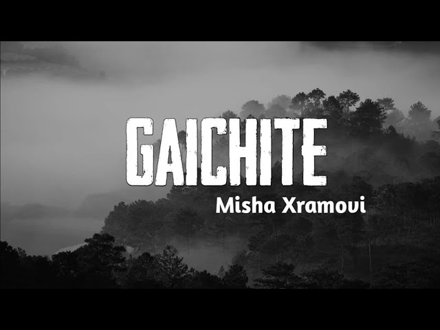 Misha Xramovi&nbsp;Gaichite