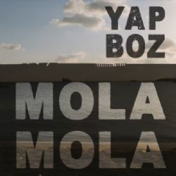 Mola Mola&nbsp;Yapboz