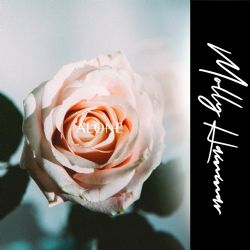 Molly Hammar&nbsp;Alone