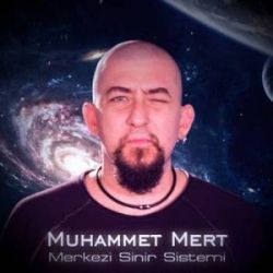 Muhammet Mert&nbsp;Merkezi Sinir Sistemi