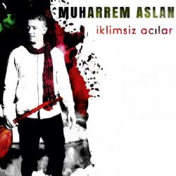 Muharrem Aslan&nbsp;İklimsiz Acılar