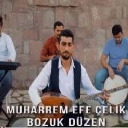 Muharrem Efe Çelik&nbsp;Bozuk Düzen