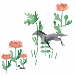 Murat Olg&nbsp;Yalnız Ölmek