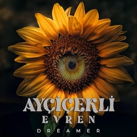 Mustafa Çevik&nbsp;Ayçiçekli Evren