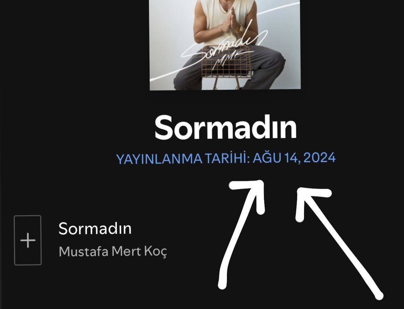 Mustafa Mert Koç&nbsp;Sormadın