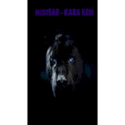 Müstear&nbsp; Kara Kedi