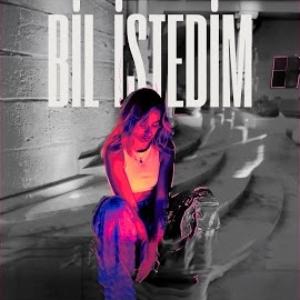 NVZ&nbsp;Bil İstedim