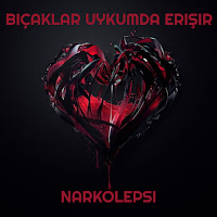 Narkolepsi&nbsp;Bıçaklar Uykumda Erişir