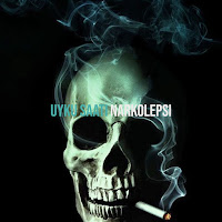 Narkolepsi&nbsp;Uyku Saati