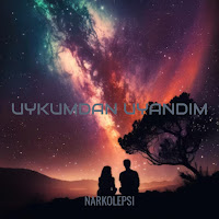 Narkolepsi&nbsp;Uykumdan Uyandım