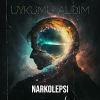 Narkolepsi&nbsp;Uykumu Aldım