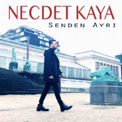 Necdet Kaya&nbsp;Senden Ayrı